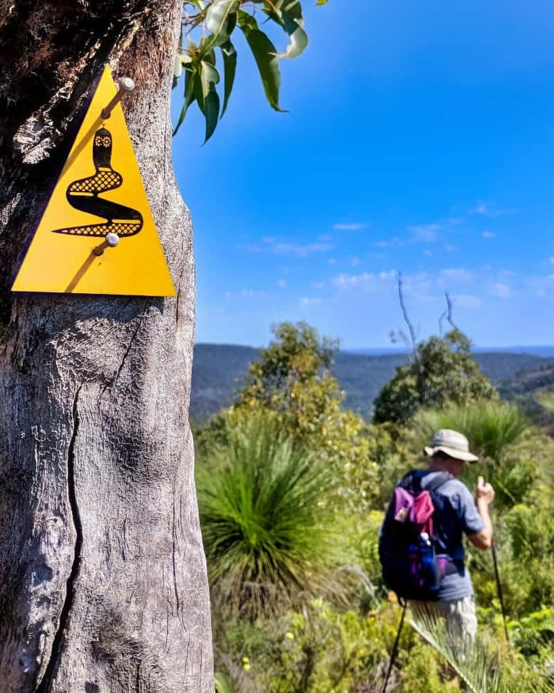 Hiker passing a Bibbulmun Track Waugal marker