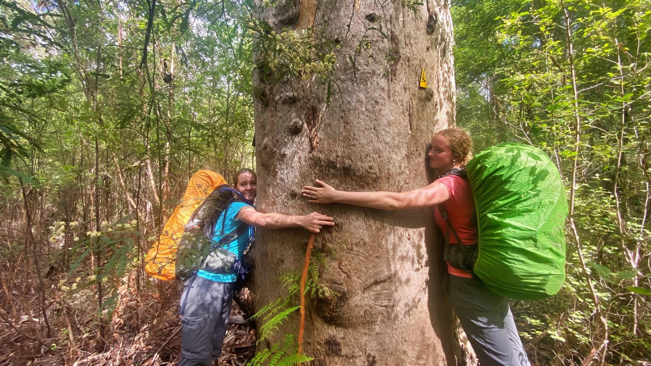 a-mum-and-daughter-hugging-a-Karri-tree-on-the-bibbulmun-track